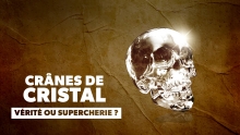 Crânes de Cristal - Vérité ou Supercherie ?