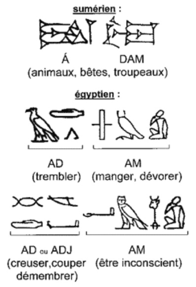 adam