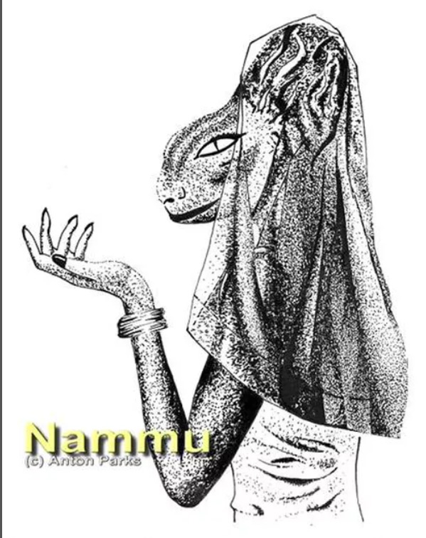 nammu