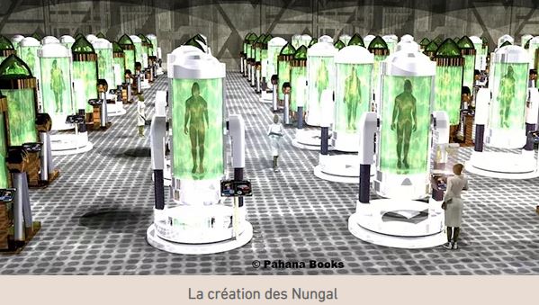 nungal_clonage