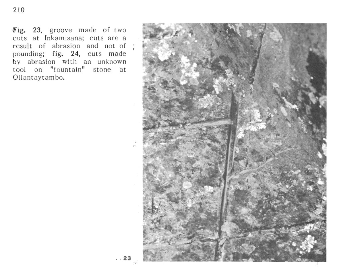 protzen_rumiqolqa_inca8.jpg 