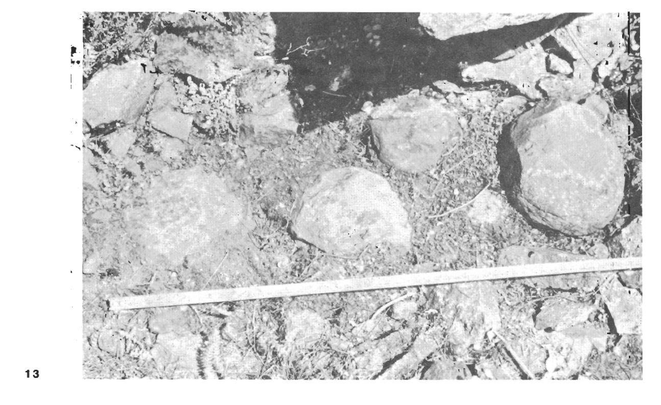 protzen_rumiqolqa_inca_2.jpg 