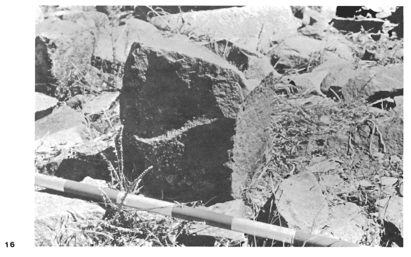 protzen_rumiqolqa_inca_6