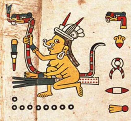 sorciere_codex