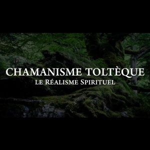 Chamanisme Toltèque le réalisme spirituel Paul Degryse