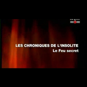 Les chroniques de l’insolite - Le feu secret David Teyssandier