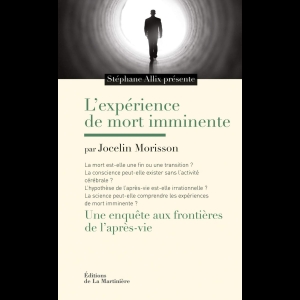 L'expérience de mort imminente : Une enquête aux frontières de l'après-vie Stéphane Allix