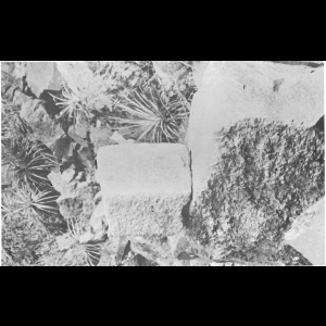 Inca Quarrying and Stonecutting Jean-Pierre Protzen