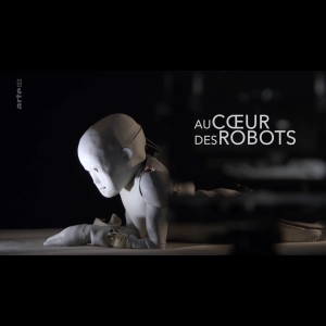 Au coeur des robots