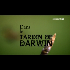 [Serie] Dans le Jardin de Darwin 