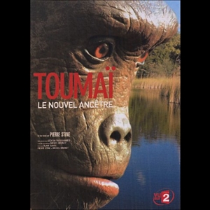 Toumaï, le nouvel ancêtre