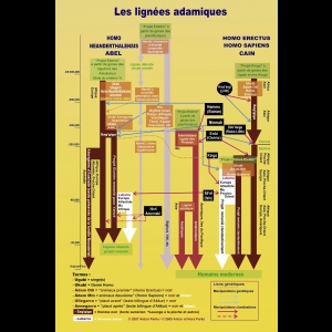 Parks - Lignées Adamiques