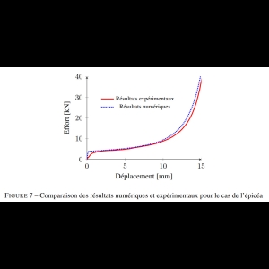 Modélisation multi-échelle du comportement en compression du bois