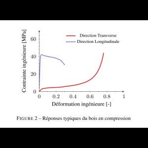 Limite de compression du Bois en Radial pour le transport Mégalithique