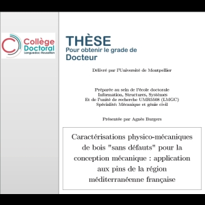 Thèse : Caractérisations physico-mécanique de bois "sans défaults" pour la conception mécanique : application aux pins de la région méditerranéenne française