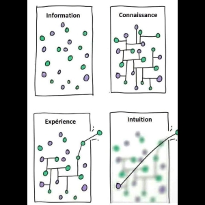 Chercheur De Vérité et Critiques 