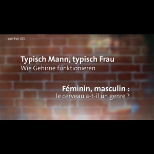 Féminin, masculin : le cerveau a-t-il un genre ?