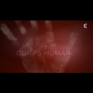 [Serie] Le corps humain