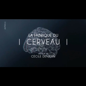 La Fabrique du cerveau