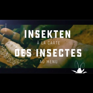 [Serie] Des insectes au menu