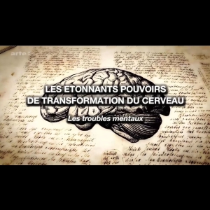 Les étonnants pouvoirs de transformation du cerveau