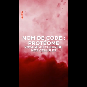 Voyage au coeur de nos cellules - Nom de code : protéome