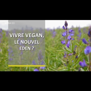 Vivre vegan - Le nouvel éden ?