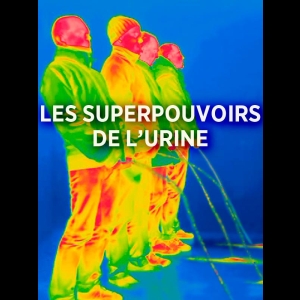 Les superpouvoirs de l'urine