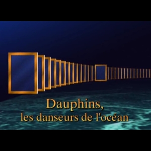 Dauphins - Les danseurs de l'océan