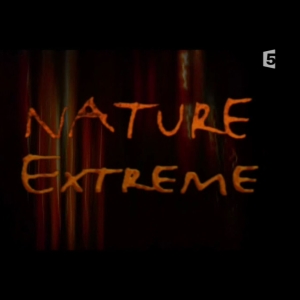 Nature extrême - Au fond des océans