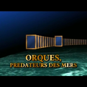 Orques - Prédateurs des Mers