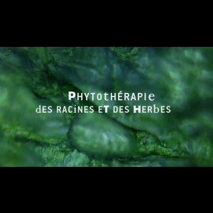 Phytothérapie - des racines et des herbes