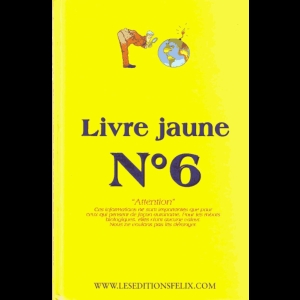 Livre jaune n° 6