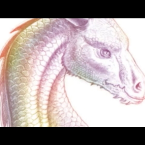 Yann Lipnick : Les Dragons - BOB