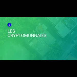 Découverte - La cryptomonnaie