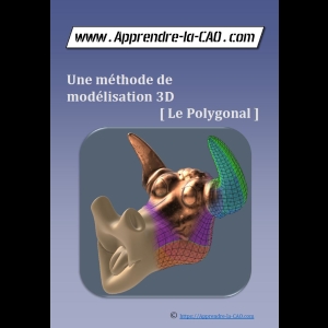 Une méthode de modélisation 3D [ Le Polygonal ]