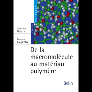 De la macromolécule au matériau polymère