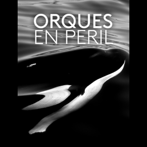 Orques en Péril