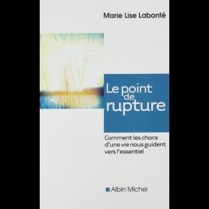 Le Point de rupture - Comment les chocs d'une vie nous guident vers l'essentiel
