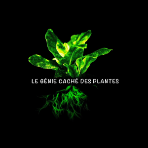[Serie] Le Génie Caché Des Plantes