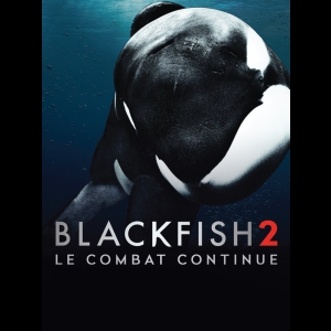 Blackfish 2