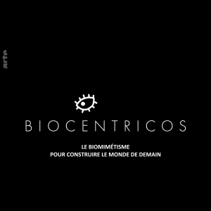 Le Biomimétisme - Pour Construire Le Monde De Demain