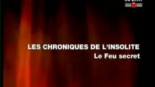 Les chroniques de l’insolite - Le feu secret David Teyssandier