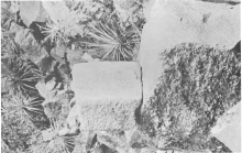 Inca Quarrying and Stonecutting Jean-Pierre Protzen