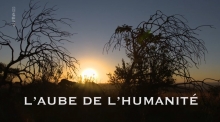 L'aube de l'humanité