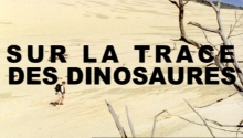 Sur la Trace des Dinosaures