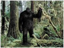 Bigfoot - Yéti (Parks)