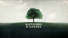 [Serie] Histoires d'arbres 
