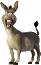 Animaux de Traction en Egypte