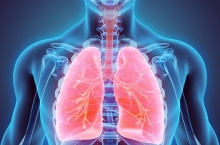 Maladie respiratoire 